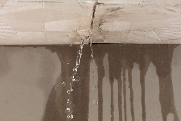 Professional Water Damage Repair technician working in Strawn, TX
